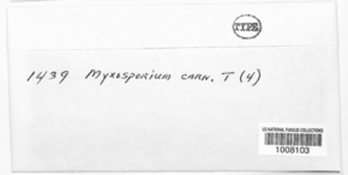 Phomopsis carnea image